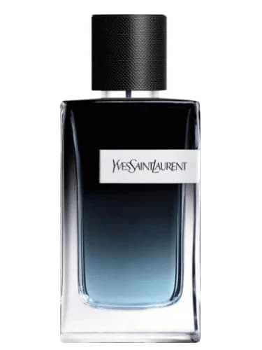 YSL Y